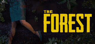 Steam-Banner zum Spiel