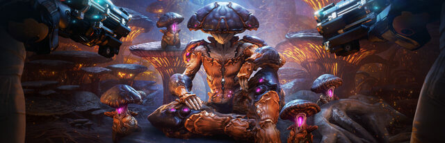 Warframe – offizielles Steam-Key-Art